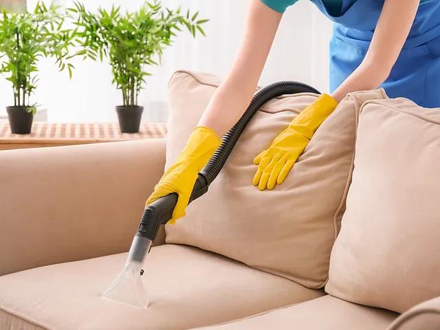 Specialized Cleaning Services